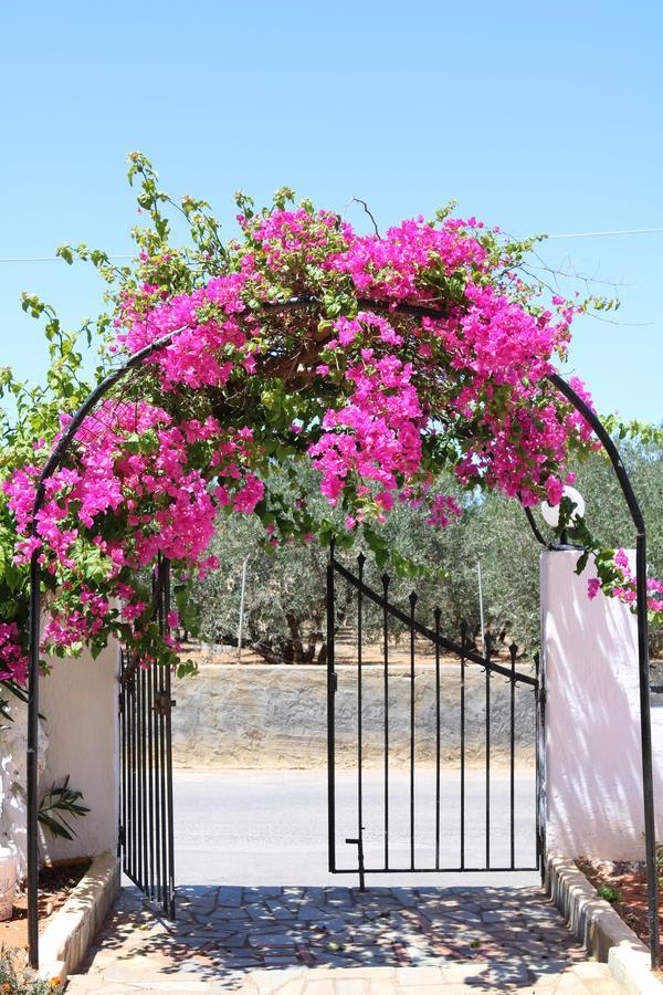 Alex Home Apartments Hersonissos  Exterior photo